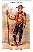 Gallaher's Cigarette card